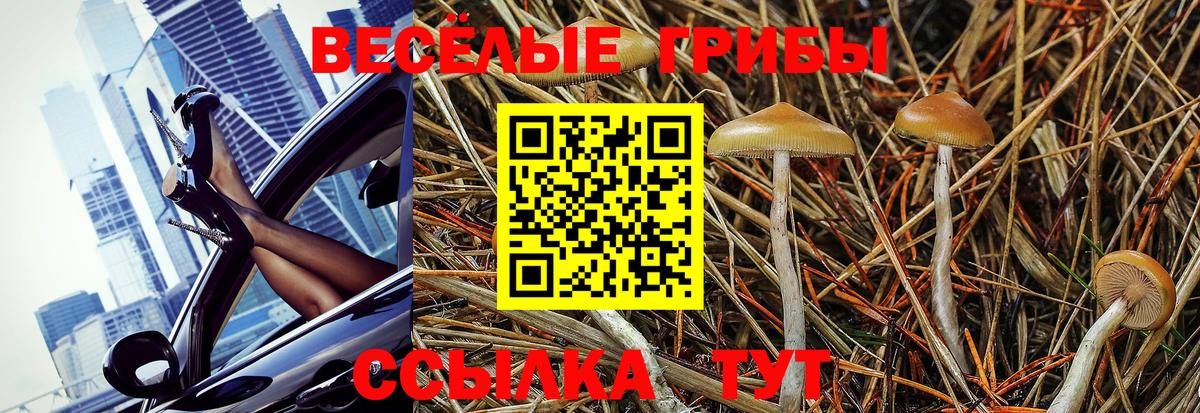 Псилоцибиновые грибы Psilocybine cubensis  Вход с VPN  Псилоцибиновые грибы Psilocybe  Сосновый Бор 
